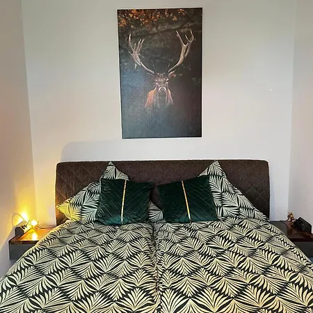 Casa Clara - Stilvolle Altstadtwohnung Nahe Dom & Elbe 公寓