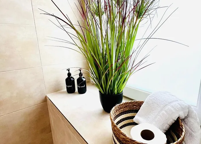 Casa Clara - Stilvolle Altstadtwohnung Nahe Dom & Elbe 马格德堡